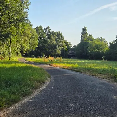 Le Champ Du Moulin